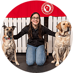 Dog Breed Matching Game – American Kennel Club