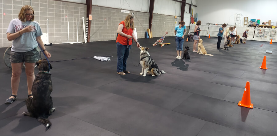 Badger Kennel Club Canine Good Citizen Class