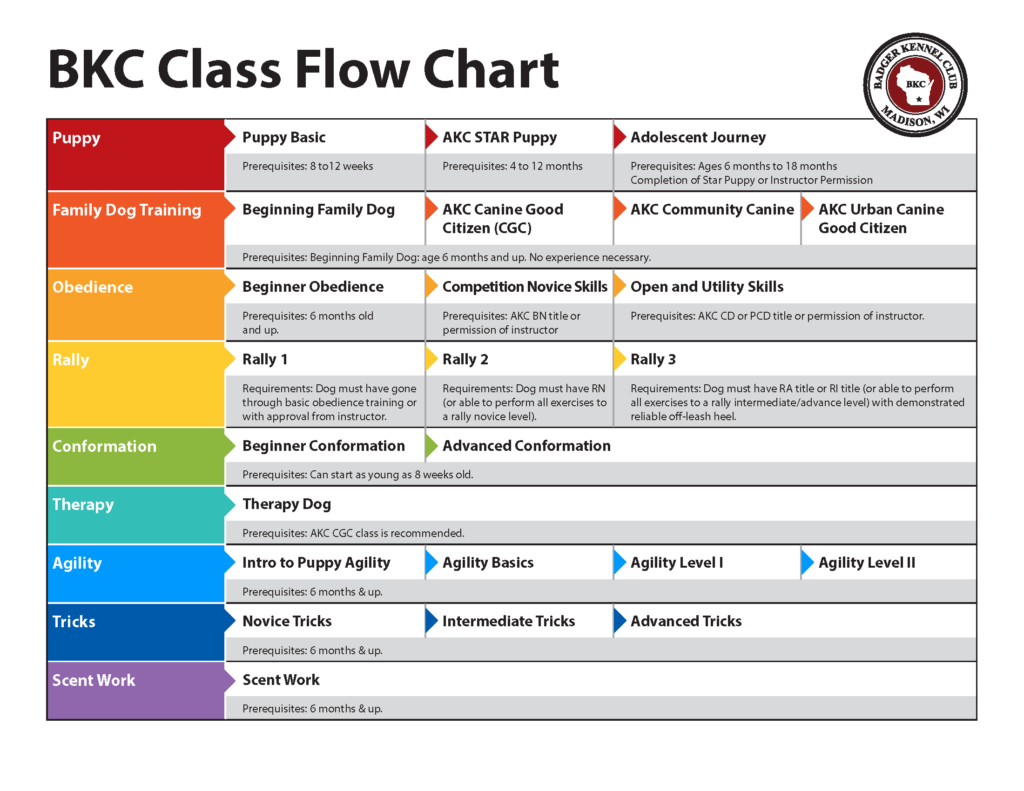BKC Class Flow Chart NOV2023